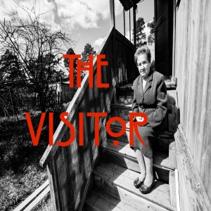 The Visitor