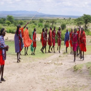 E:41 Bucket List Destinations & My Kenyan Safari Experience