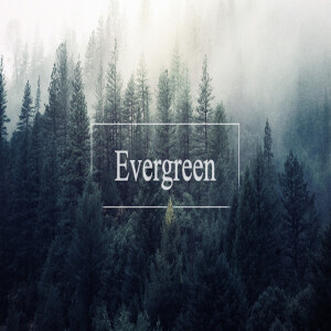 ”Am I an Evergreen Christian?” James 1:1-4 By: Pastor Josh Slinkard