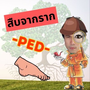 EOB EP 68: สืบจากราก รากศัพท์ Ped - คนเดินถนน กิ้งกือ ตะขาบ และอุปสรรคขวากหนามเกี่ยวกันอย่างไร