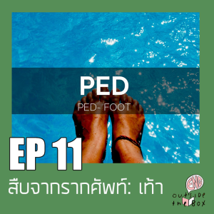 อังกฤษนอกกล่อง EP 11: สืบจากราก คำศัพท์ไหนเกี่ยวกับเท้าบ้าง