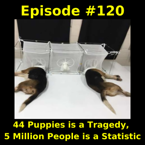 Episode #120: 44 Puppies is a Tragedy, 5 Million People is a Statistic