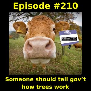 Episode #210: Someone should tell gov’t how trees work