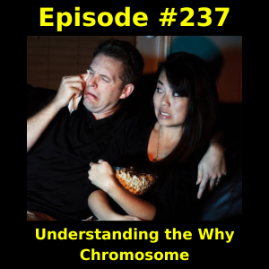 Episode #237:  Understanding the Why Chromosome
