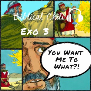 Exo 3 - You Wat Me To What?!