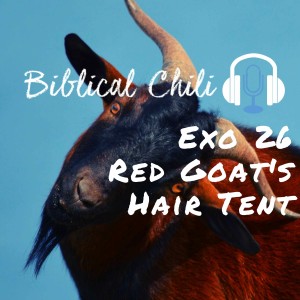 Exo 26 - Red Goat’s Hair Tent