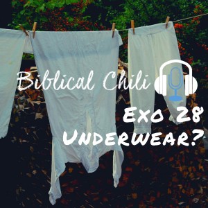 Exo 28 - Underwear?