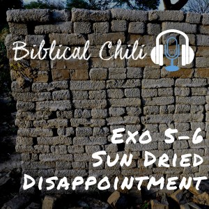 Exo 5-6 - Sun Dried Disappointment