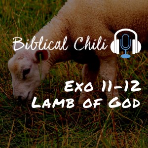 Exo 11-12  - Lamb of God