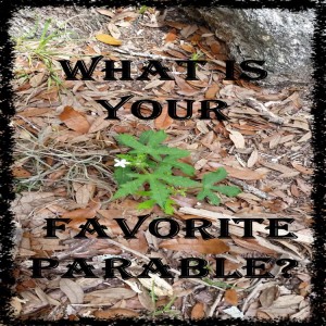 Whats your favorite parable?