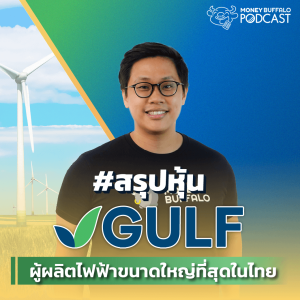 สรุปหุ้น EP 1 : รู้จัก “หุ้น GULF” ผู้ผลิตไฟฟ้าขนาดใหญ่ที่สุดในไทย | Money Buffalo