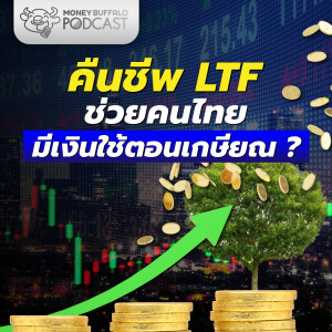 คืนชีพ LTF ช่วยคนไทยมีเงินใช้ตอนเกษียณ จริงหรอ? | Money Buffalo Podcast EP 164