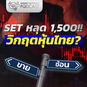 SET หลุด 1500 จุด!! วิกฤตหุ้นไทย? | Money Buffalo Podcast EP 147