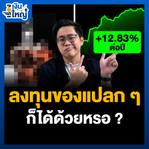 “การลงทุนแปลก ๆ” ที่คาดไม่ถึง แต่กำไรไม่น่าเชื่อ | Money Buffalo