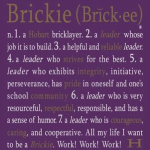 I am a Brickie!