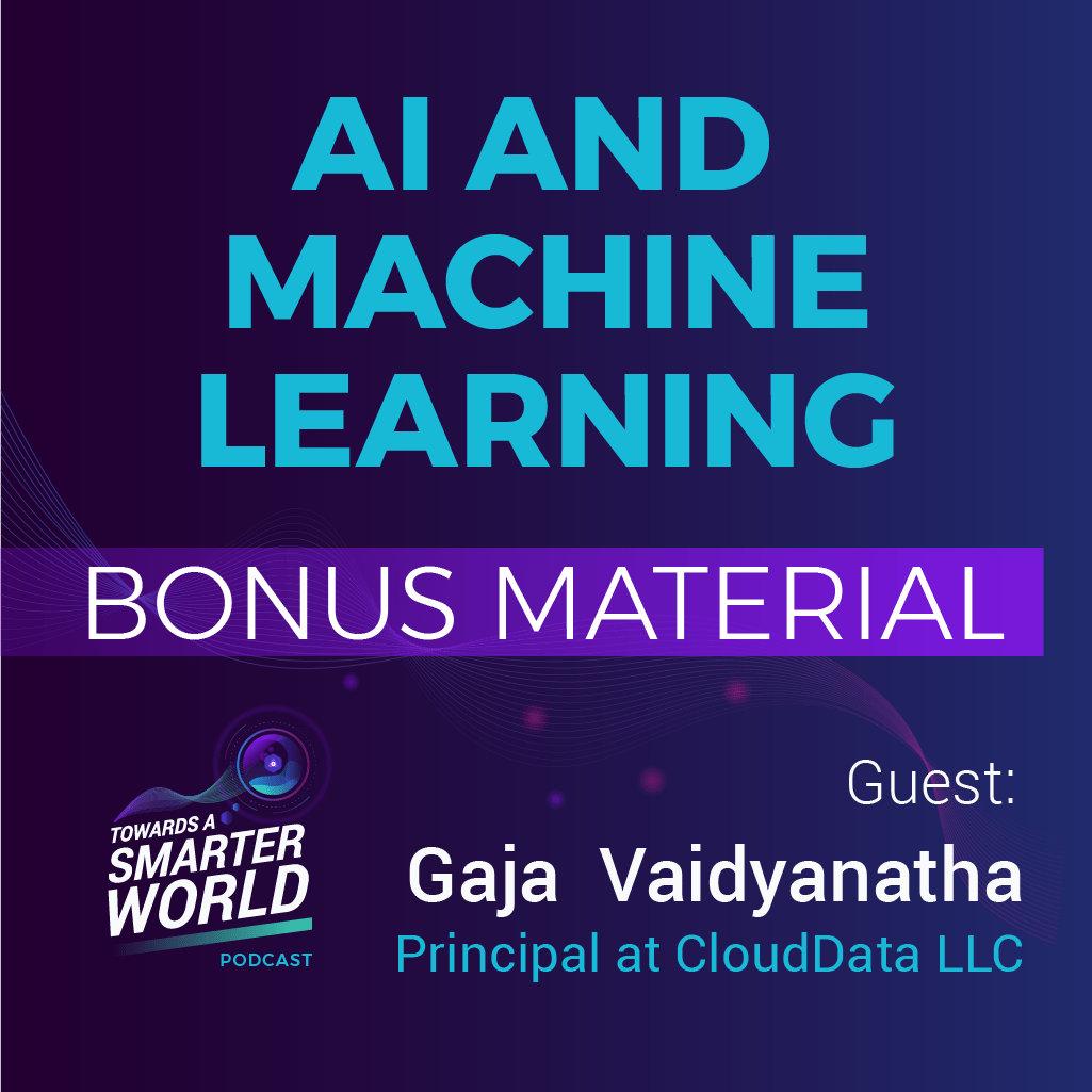 Episode 19 Bonus Material - AI and Machine Learning