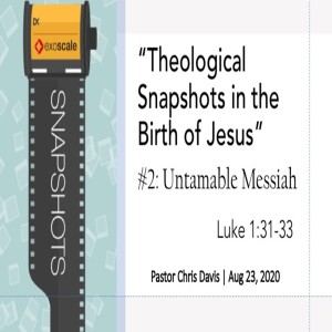 8-23-2020 - Theological Snapshots in the Birth of Jesus, pt2: Untamable Messiah