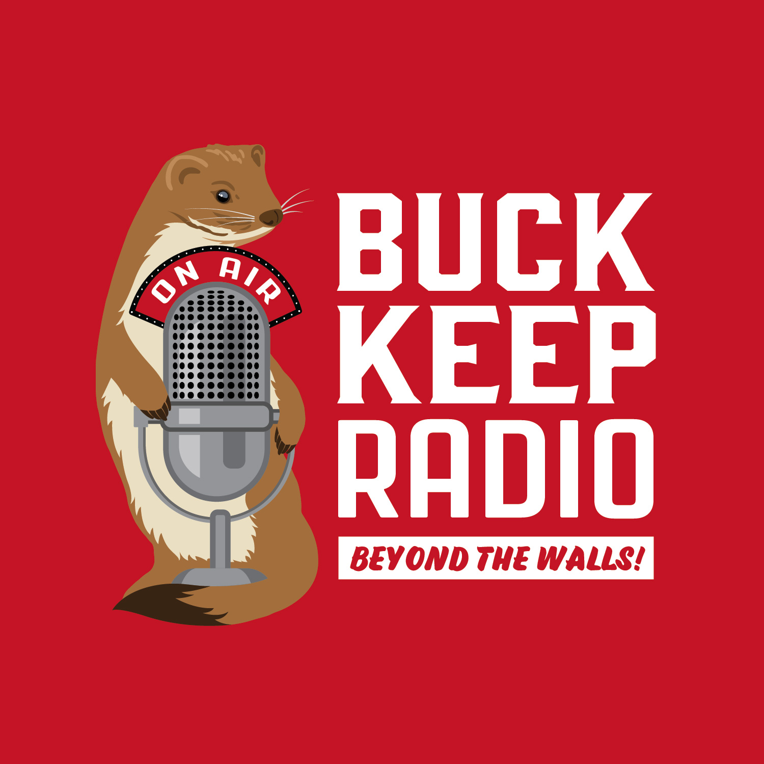Episode Artwork
