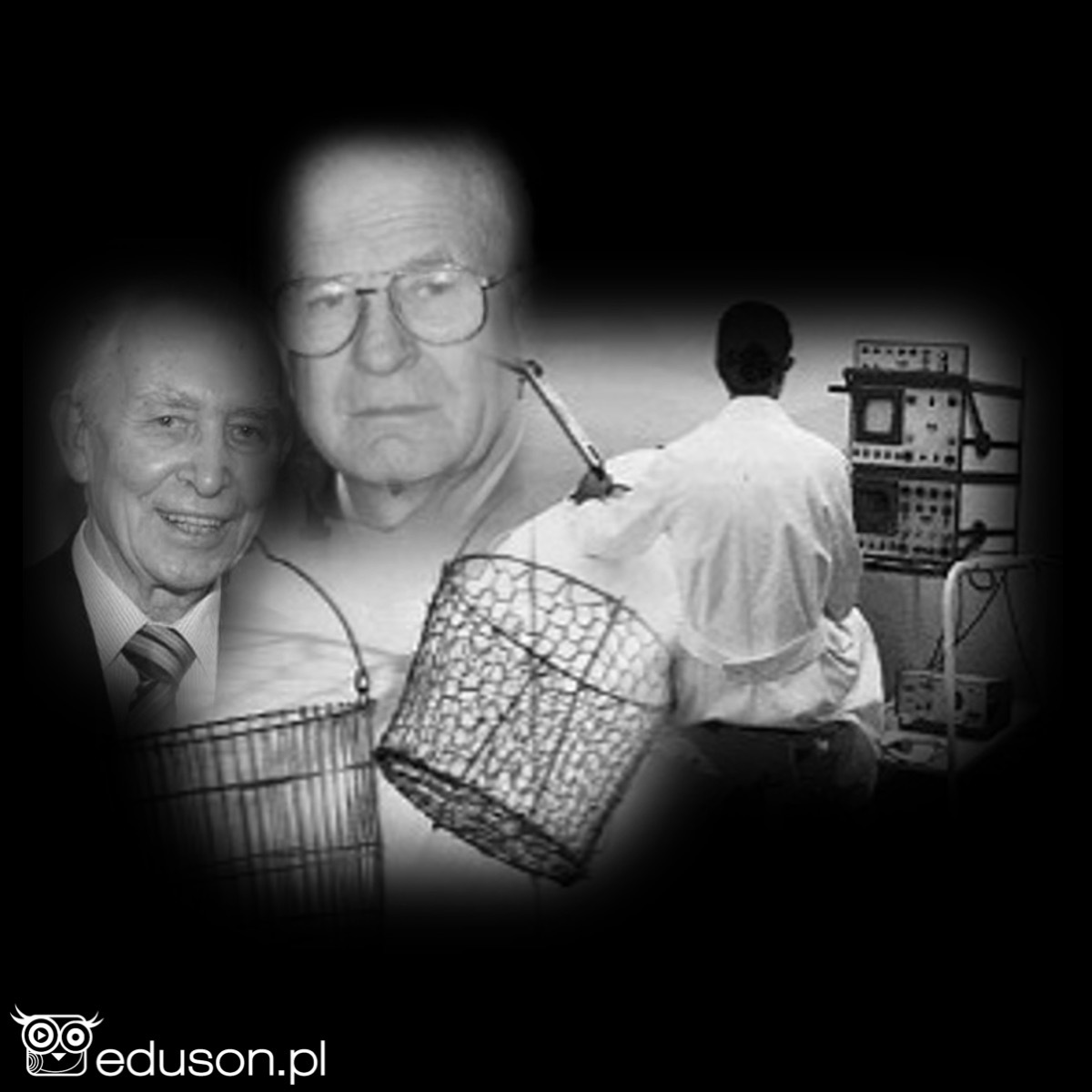 eduson