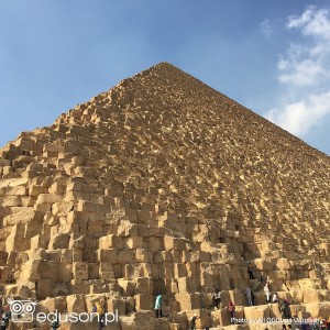 Piramidy nerkowe