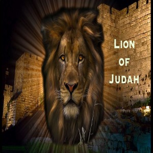 Lion of Judah - Rev 5  2022