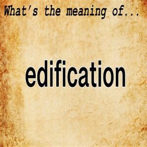 Edification . . . I Cor 8