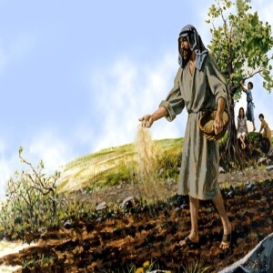 The Sower . . . Mark 4.(Click to Listen)