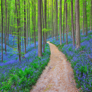 ”Pristine Locations” - What they are, why they matter
