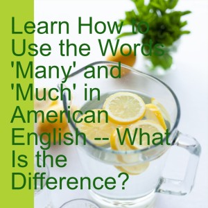 Learn How to Use the Words ’Many’ and ’Much’ in American English -- What Is the Difference?