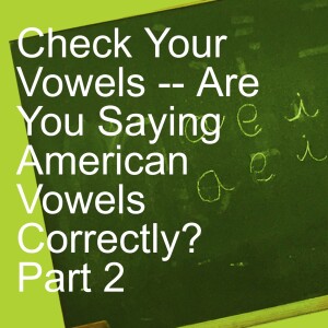 Check Your Vowels -- Are You Saying American Vowels Correctly?  Part 2