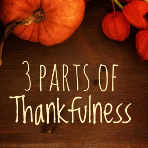 3 Parts of Thankfulness