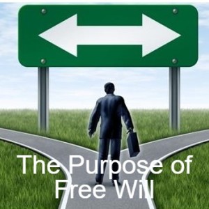 The Purpose of Free Will