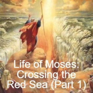 Life of Moses: Crossing the Red Sea (Part 1)