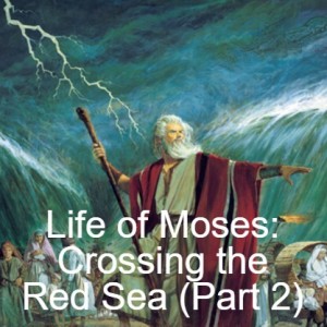 Life of Moses: Crossing the Red Sea (Part 2)