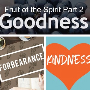 Fruit of the Spirit Part 2: Forbearance, Kindness, & Goodness