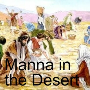 Life of Moses: Manna in the Desert