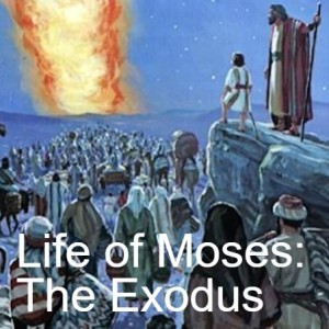 Life of Moses: The Exodus