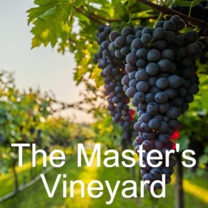 The Master’s Vineyard