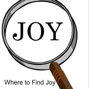 Where to Find Joy