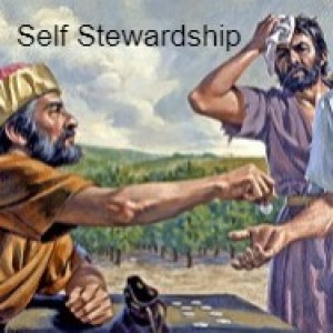 Self Stewardship