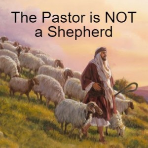 The Pastor is NOT a Shepherd - (5 Minute Sermon)