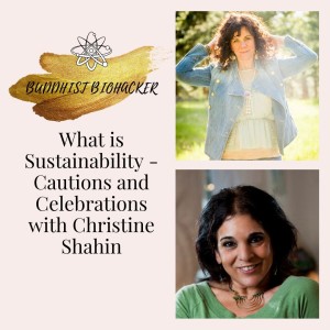 What is Sustainability? Cautions and Celebrations with Special Guest Christine Shahin