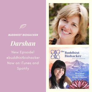 Darshan: Keeping Sacred Company with Special Guest Julie Hoyle