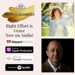Right Effort is Grace with Special Guest David Behrens