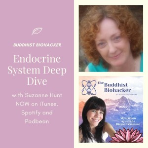 Deep Dive into the Endocrine System with Special Guest Suzanne Hunt