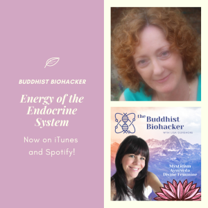 Energy of the Endocrine System with Special Guest Suzanne Hunt