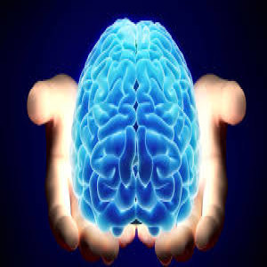 Neural Fusion - Brain Management Booster