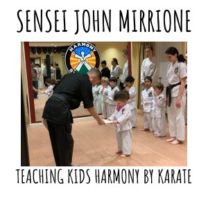 Harmony by Karate: Can the Ultimate Fighting Tool Really be accompanied by Peace and Harmony?