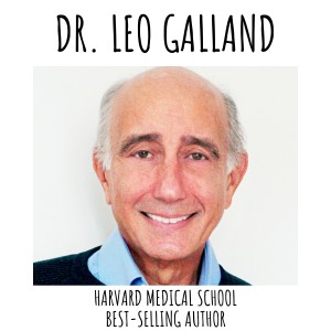 Dr. Leo Galland, Harvard M.D. sheds light on the coronavirus
