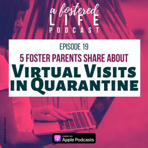 Ep 19 Virtual Visits in Quarantine